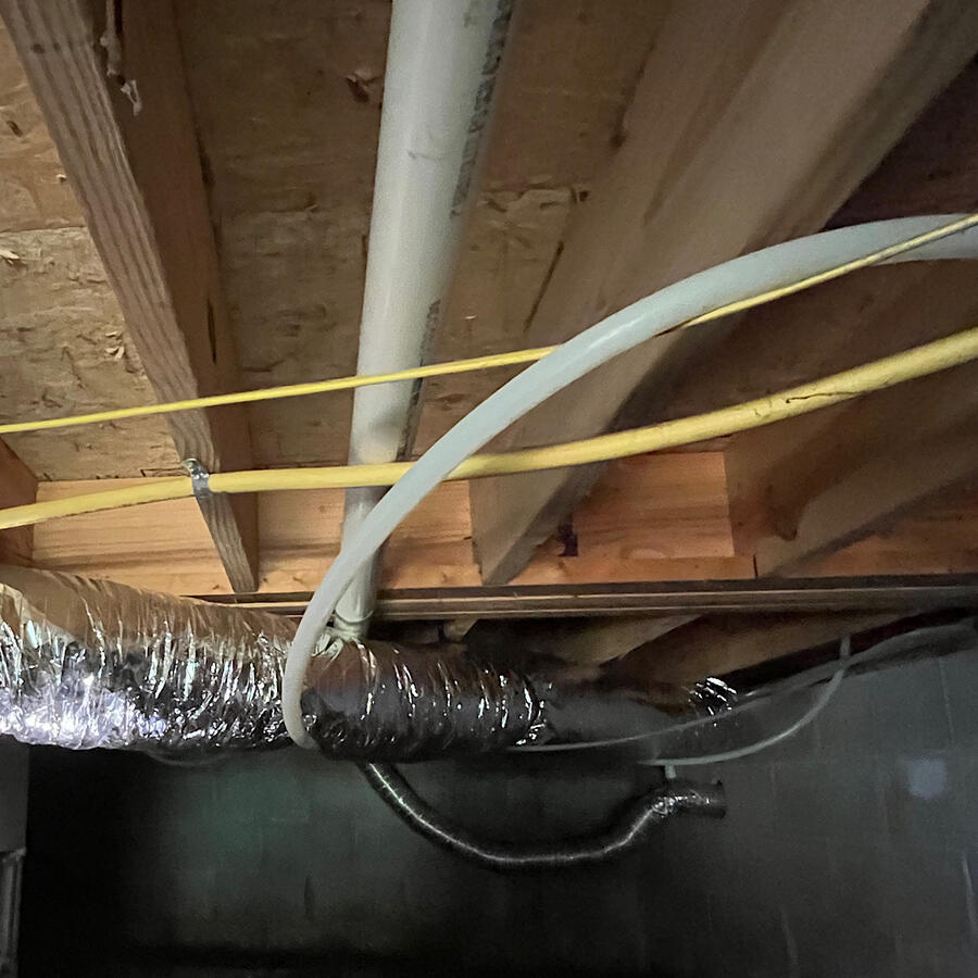 Mold Removal